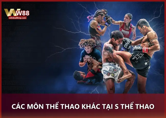 Các môn thể thao khác