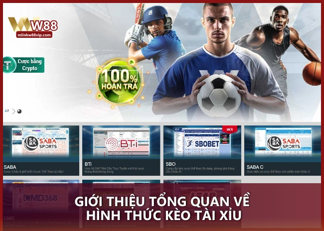 Giới thiệu tổng quan về hình thức kèo tài xỉu