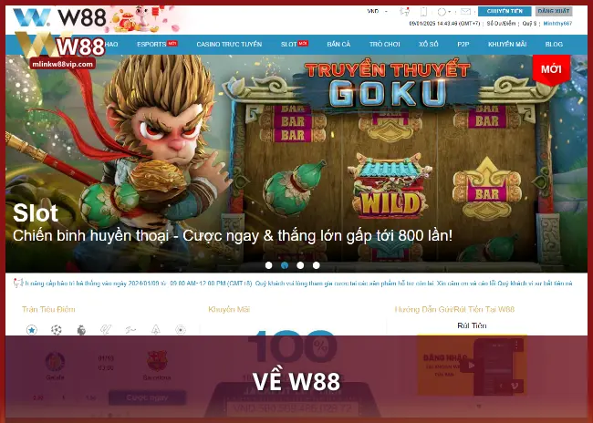 Giới thiệu về W88